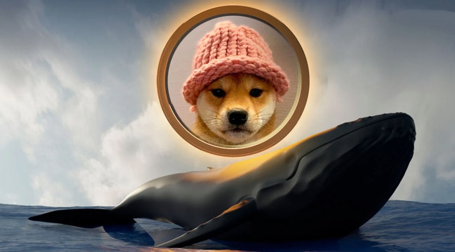 dogwifhat-drops-11-heres-how-wif-can-reclaim-