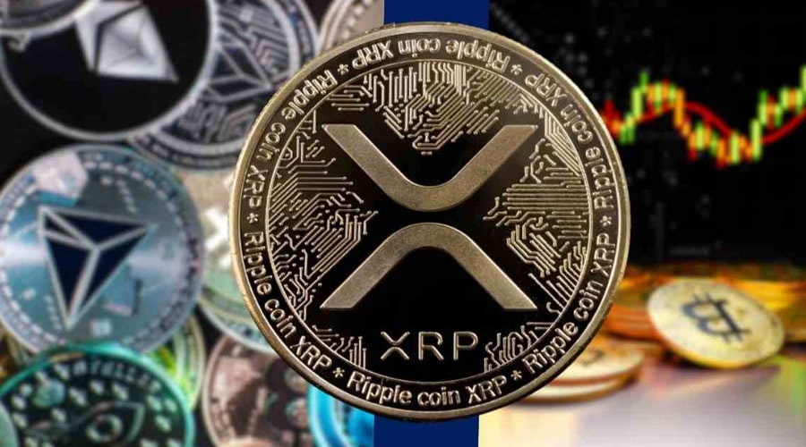 ripple-news-trump-jr-rumored-to-eye-xrp-as-expert-backs-crypto-adoption