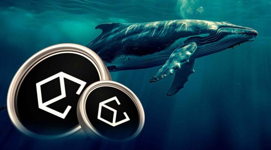 whales-bet-big-on-ethena-as-tvl-nears-10b-is-ena-ready-for-liftoff
