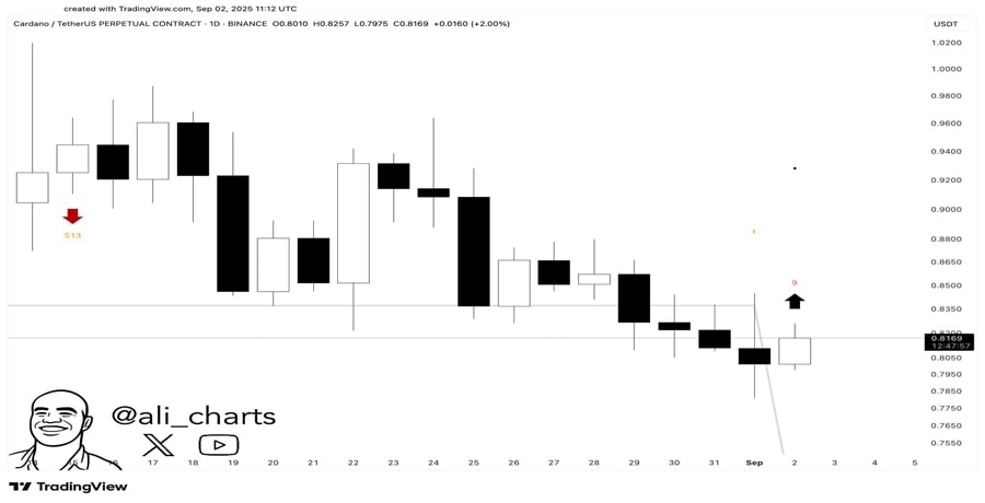 cardanos-ada-retail-traders-turn-bearish-but-whales-may-smell-a-bargain-1