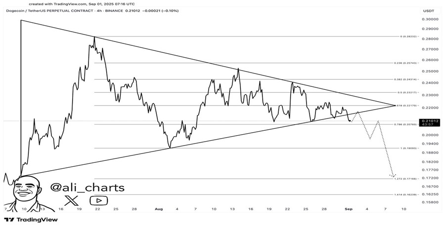 doge-breaks-triangle-pattern-analyst-warns-of-next-leg-down