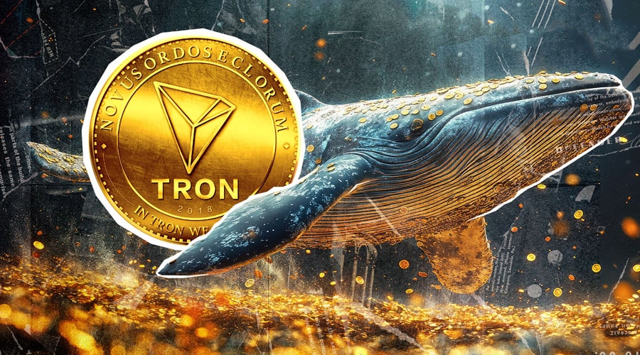 tron-whales-pile-into-trx-yet-volatility-risks-remain-why