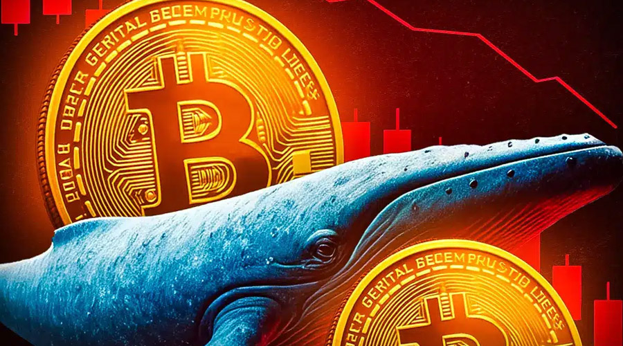 bitcoins-17-crash-explained-88m-whale-short-tariff-shock-more-