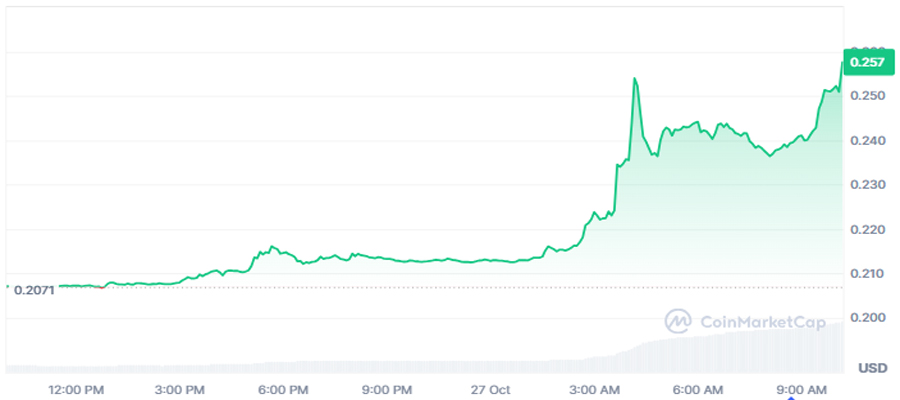 pi-network-pi-price-skyrockets-by-20-daily-bull-rally-starting-or-dead-cat-bounce