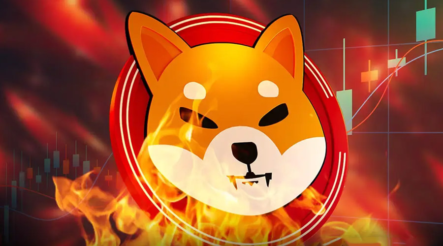 shiba-inu-price-eyes-recovery-as-burn-rate-jumps-10785-can-shib-hit-0-000016
