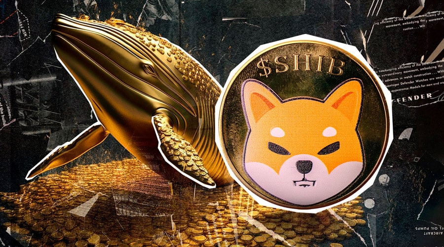 shiba-inu-price-prediction-analysts-note-interesting-whale-accumulation-signal-