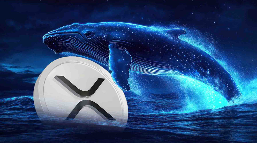 xrp-price-plunged-20-amid-significant-whale-inflows-to-binance