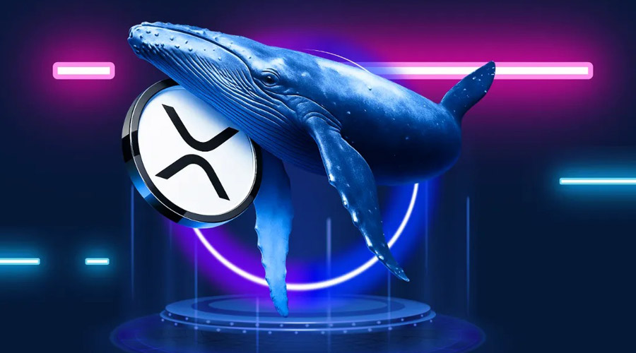 xrp-price-rebounds-as-whales-hit-record-high