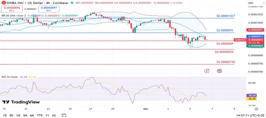 shib-price-defends-0-0000089-floor-bulls-eye-relief-rally-after-drop