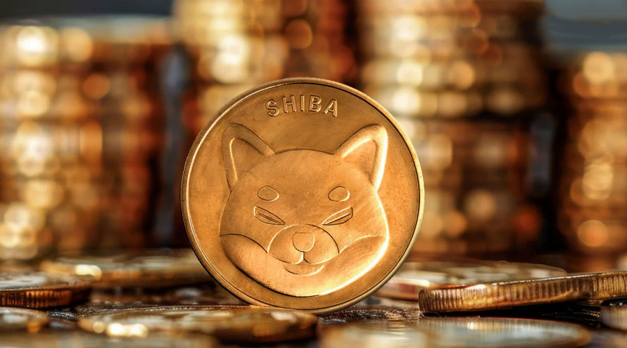 shib-reason-why-shiba-i