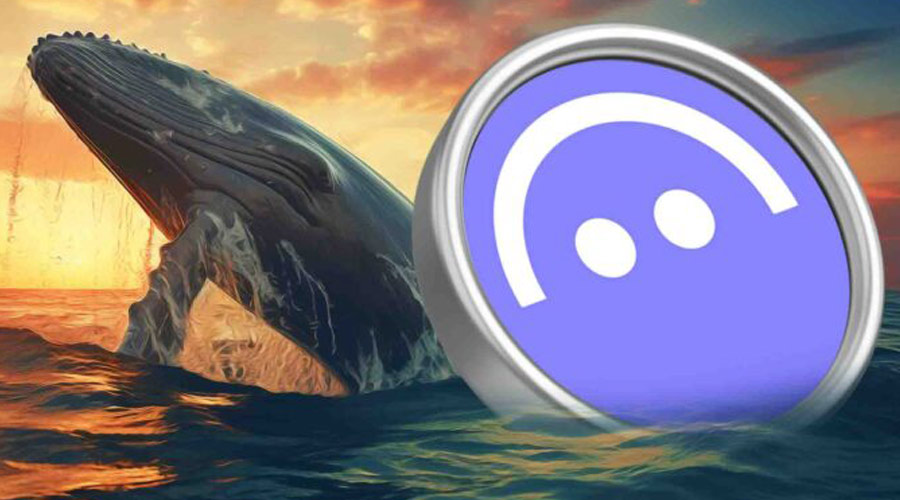 aave-price-whales-bullish-trigger-