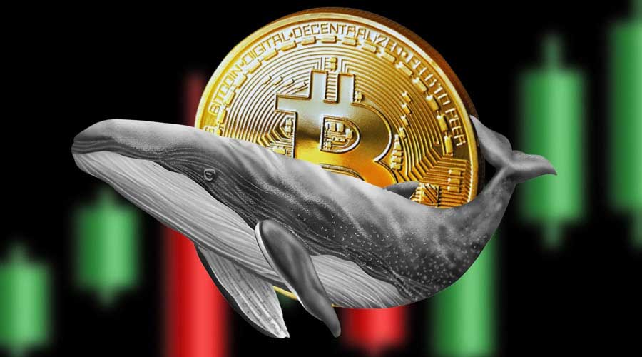 bitcoin-much-needed-rebound-94k-ahead-fed-meeting-ramzarz