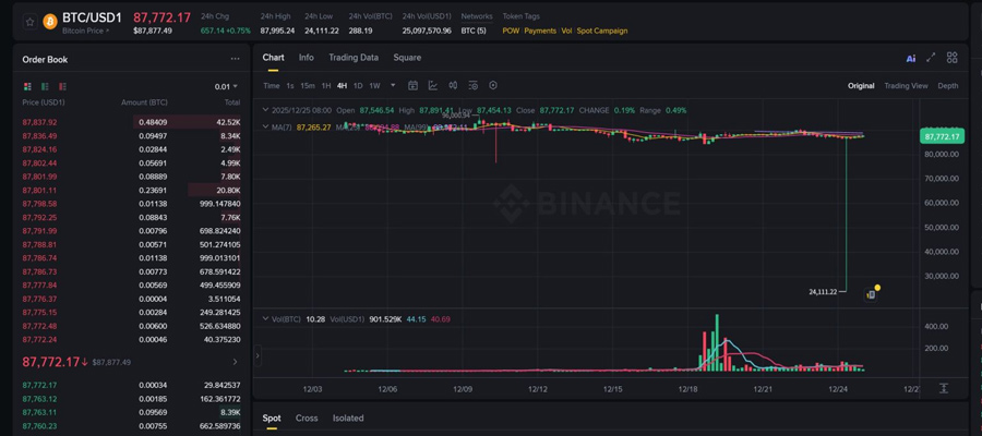 bitcoin-triggers-sharp-flash-crash-to-24k-on-binance-usd1-pair-
