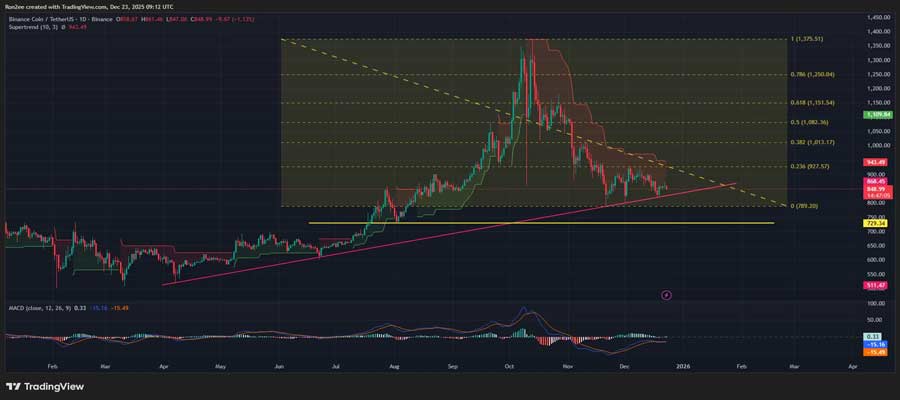 bnb-price-risks-15-correction-as-it-nears-crucial-support-trendline-with-bearish-signals-mounting-