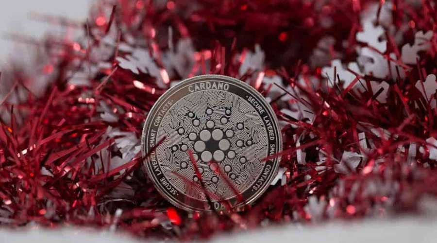 cardano-christmas-chart-looks-more-like-coal-candy-R