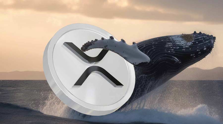 massive-xrp-whale-purchase-price-analysis