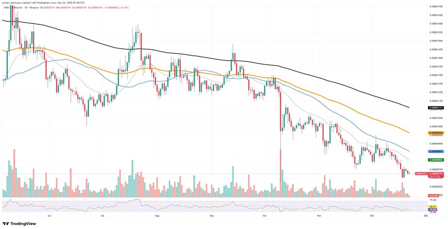shiba-inu-shib-did-not-receive-permission-for-bull-run-chart-shows