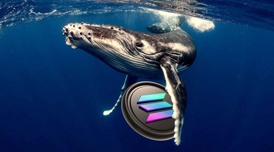 solana-stuck-in-122-145-range-as-whales-clash-whats-next-for-sol-