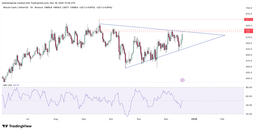 understanding-bitcoin-cashs-10-jump-amid-bchs-spot-derivatives-divide