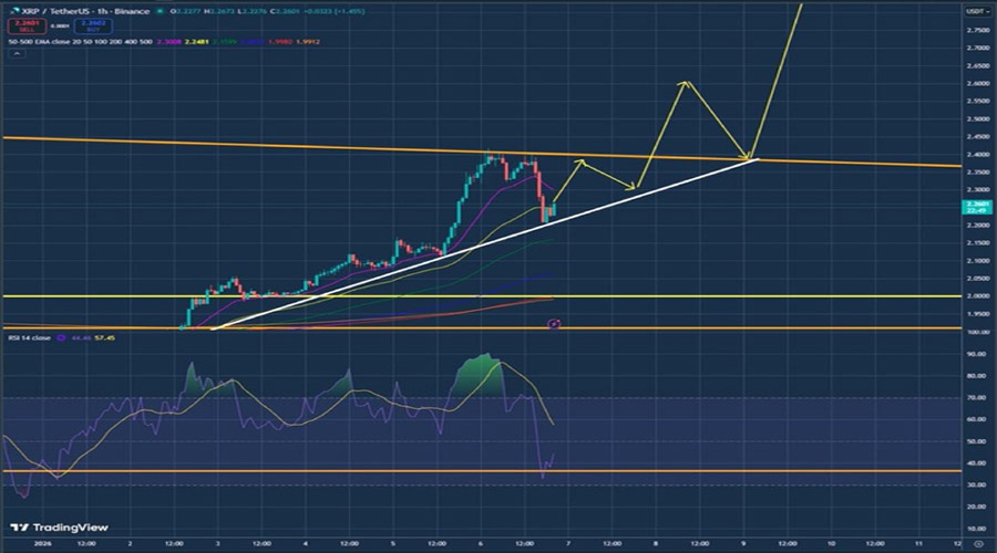 why-xrp-is-outperforming-bitcoin-and-ethereum-in-2026