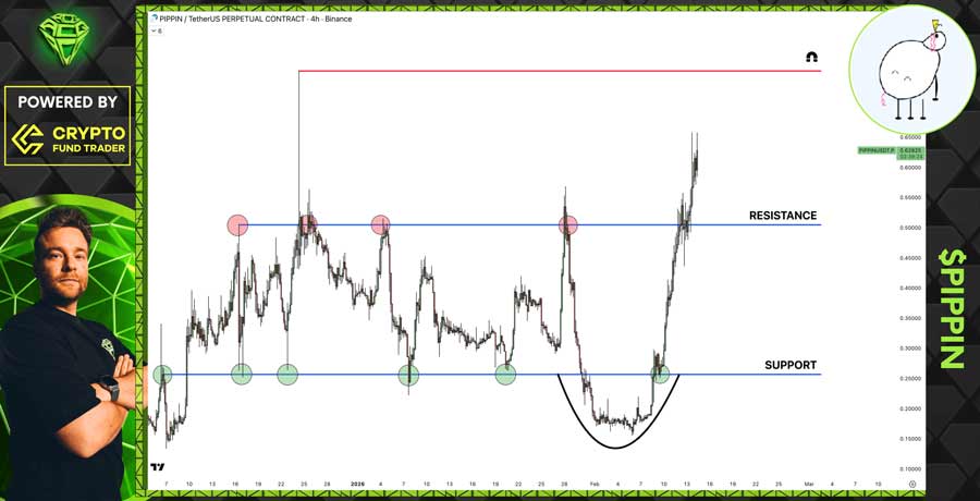 heres-why-pippin-price-is-still-pumping