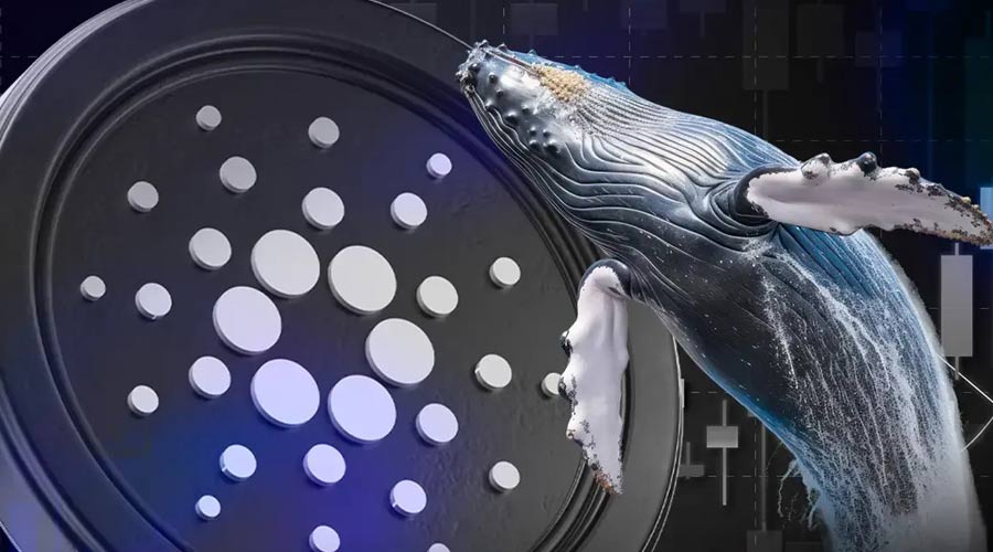is-cardano-in-trouble-why-whales-are-abandoning-binance-