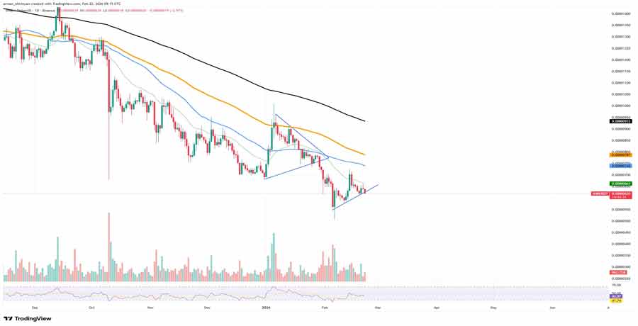 hase-might-be-its-loudest-bullish-signal-yet-