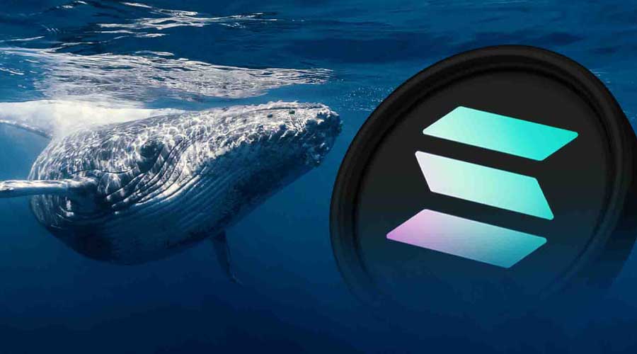 solana-price-whale-long-positioning-analysis-