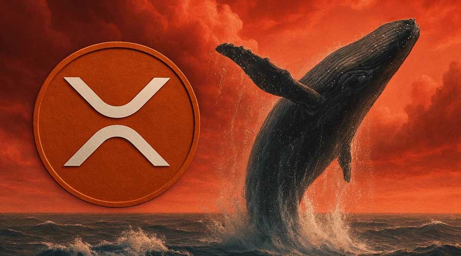 xrp-price-whale-inflows-realized-losses-bottom-signal