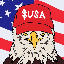 American Coin