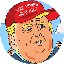 TRUMP IP