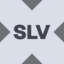 Wrapped iShares Silver Trust Tokenized ETF (xStock)